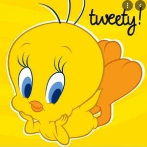 Meet your Posher, Ally